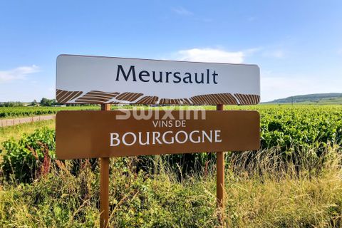 Landejendom i Meursault, Cote-d'Or, Meursault - € 1.050.000 | Ref: 70819PP - foto 4