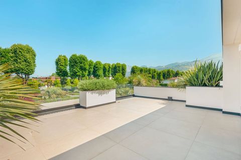 Villa i Pietrasanta, Lucca, Pietrasanta - € 5.500.000 | Ref: CBI129-3100-130647 - foto 18