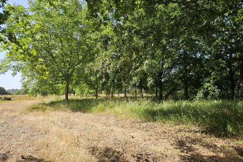 Tomt i Pannecé, Loire-Atlantique, Pannecé - € 43 500 | Ref: 103_CPT-0026526 - foto 3