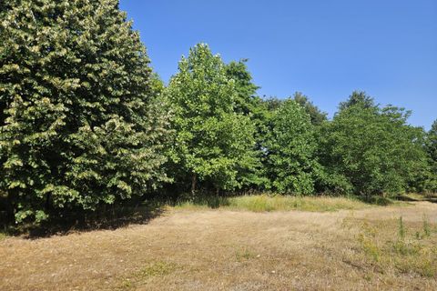 Tomt i Pannecé, Loire-Atlantique, Pannecé - € 43 500 | Ref: 103_CPT-0026526 - foto 4