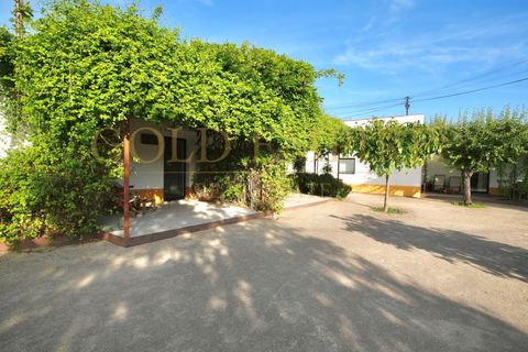 Næringseiendom i Evora, Evora, Evora - € 6 500 000 | Ref: GE-MC100301-1 - foto 12