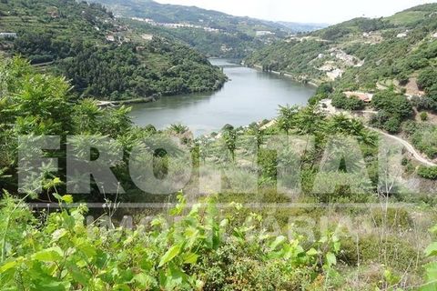 Grond in Baiao, Porto, Baiao - € 160.000 | Ref: Frontal/26842 - foto 2