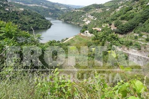 Grond in Baiao, Porto, Baiao - € 160.000 | Ref: Frontal/26842 - foto 3