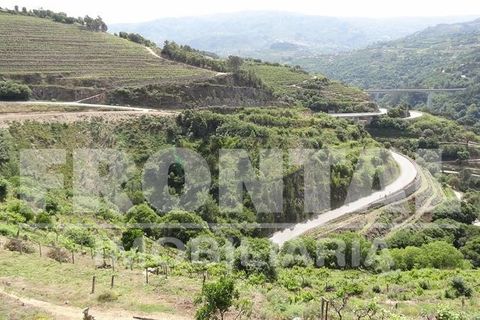 Grond in Baiao, Porto, Baiao - € 160.000 | Ref: Frontal/26842 - foto 8