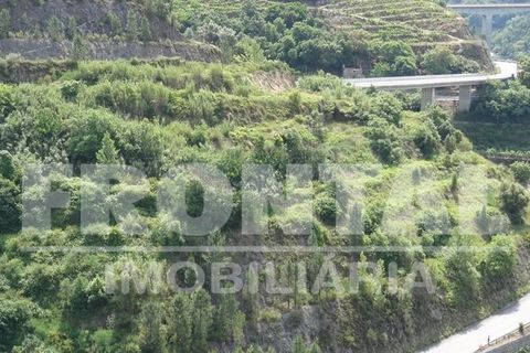 Grond in Baiao, Porto, Baiao - € 160.000 | Ref: Frontal/26842 - foto 10