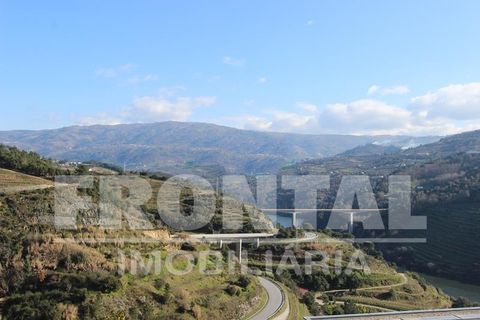Grond in Baiao, Porto, Baiao - € 160.000 | Ref: Frontal/26842 - foto 11