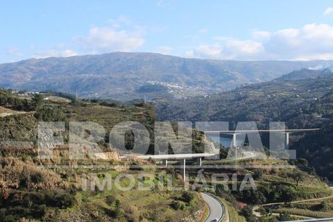 Grond in Baiao, Porto, Baiao - € 160.000 | Ref: Frontal/26842 - foto 12