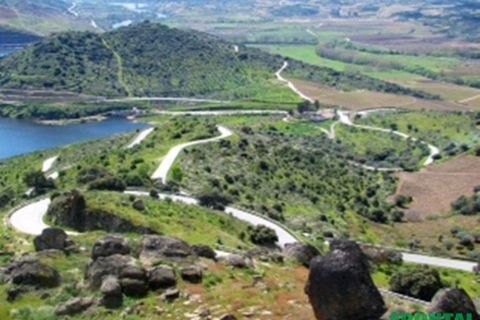 Farm i Torre de Moncorvo, Braganca, Torre de Moncorvo - € 2.500.000 | Ref: Frontal/28259 - foto 3