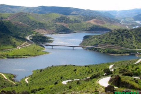 Farm i Torre de Moncorvo, Braganca, Torre de Moncorvo - € 2.500.000 | Ref: Frontal/28259 - foto 4