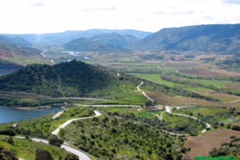 Farm i Torre de Moncorvo, Braganca, Torre de Moncorvo - € 2.500.000 | Ref: Frontal/28259 - foto 5