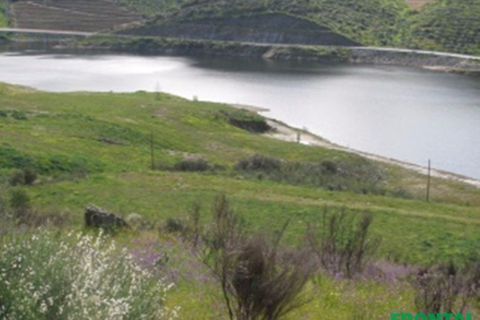 Farm i Torre de Moncorvo, Braganca, Torre de Moncorvo - € 2.500.000 | Ref: Frontal/28259 - foto 7