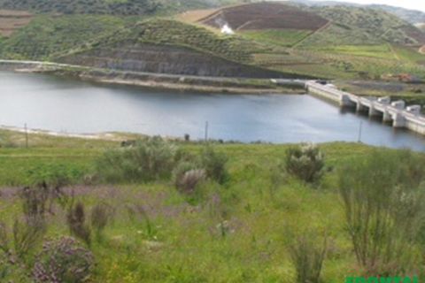 Farm i Torre de Moncorvo, Braganca, Torre de Moncorvo - € 2.500.000 | Ref: Frontal/28259 - foto 8