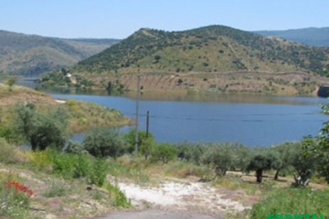 Farm i Torre de Moncorvo, Braganca, Torre de Moncorvo - € 2.500.000 | Ref: Frontal/28259 - foto 10