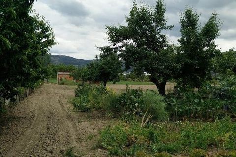 Farm i Chaves, Vila Real, Chaves - € 380.000 | Ref: Frontal/28766 - foto 23