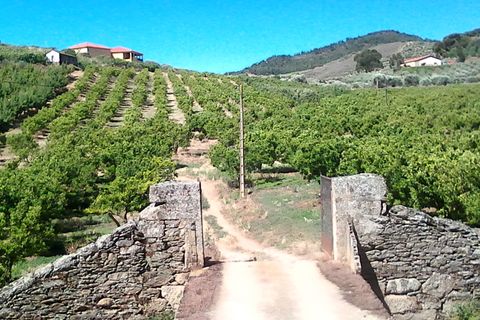 Villa en Vila Flor, Braganca, Vila Flor - € 1.250.000 | Ref: L-11/132 - photo 1