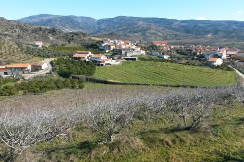 Villa en Vila Flor, Braganca, Vila Flor - € 1.250.000 | Ref: L-11/132 - photo 5