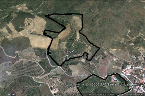 Villa en Vila Flor, Braganca, Vila Flor - € 1.250.000 | Ref: L-11/132 - photo 8