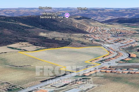 Grond in Vila Flor, Braganca, Vila Flor - € 290.000 | Ref: L-11/176 - foto 1