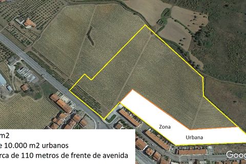 Grond in Vila Flor, Braganca, Vila Flor - € 290.000 | Ref: L-11/176 - foto 3