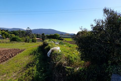 Helårsgrund i Caminha, Viana do Castelo, Caminha - € 120.000 | Ref: L-08/6701 - foto 4