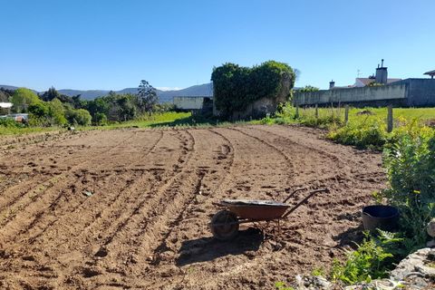 Helårsgrund i Caminha, Viana do Castelo, Caminha - € 120.000 | Ref: L-08/6701 - foto 6