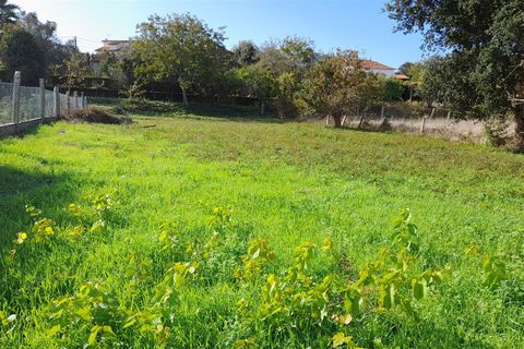 Helårsgrund i Caminha, Viana do Castelo, Caminha - € 90.000 | Ref: L-08/6735 - foto 1