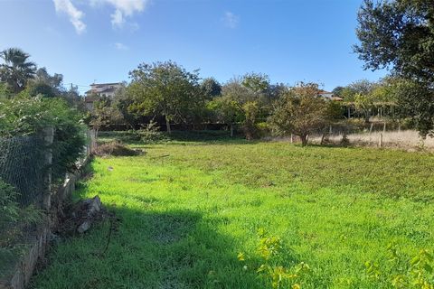 Helårsgrund i Caminha, Viana do Castelo, Caminha - € 90.000 | Ref: L-08/6735 - foto 5