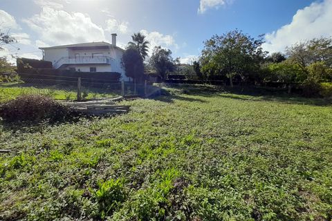 Helårsgrund i Caminha, Viana do Castelo, Caminha - € 90.000 | Ref: L-08/6735 - foto 7