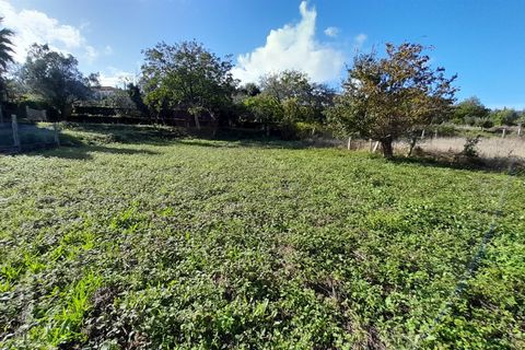 Helårsgrund i Caminha, Viana do Castelo, Caminha - € 90.000 | Ref: L-08/6735 - foto 8