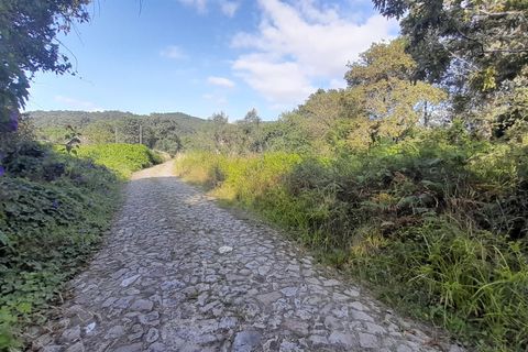 Helårsgrund i Viana do Castelo, Viana do Castelo, Viana do Castelo - € 102.000 | Ref: L-08/6776 - foto 4