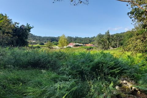 Helårsgrund i Viana do Castelo, Viana do Castelo, Viana do Castelo - € 102.000 | Ref: L-08/6776 - foto 9
