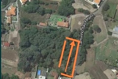 Helårsgrund i Viana do Castelo, Viana do Castelo, Viana do Castelo - € 102.000 | Ref: L-08/6776 - foto 12