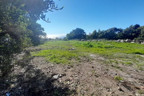 Helårsgrund i Caminha, Viana do Castelo, Caminha - € 375.000 | Ref: L-08/6835 - foto 2