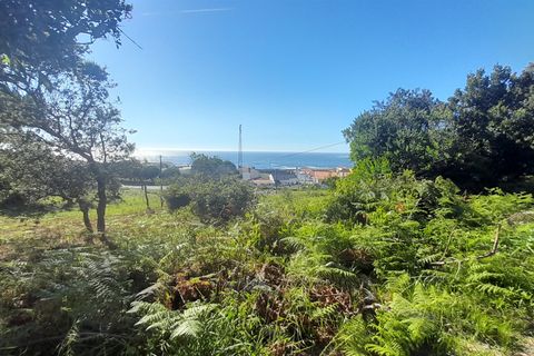 Helårsgrund i Caminha, Viana do Castelo, Caminha - € 375.000 | Ref: L-08/6835 - foto 3