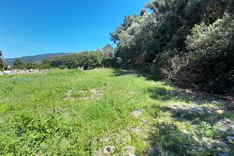 Helårsgrund i Caminha, Viana do Castelo, Caminha - € 375.000 | Ref: L-08/6835 - foto 8