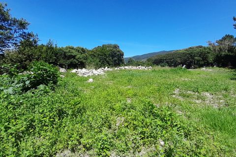 Helårsgrund i Caminha, Viana do Castelo, Caminha - € 375.000 | Ref: L-08/6835 - foto 9