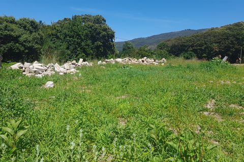 Helårsgrund i Caminha, Viana do Castelo, Caminha - € 375.000 | Ref: L-08/6835 - foto 10