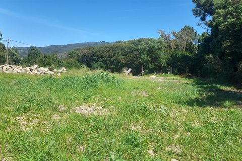 Helårsgrund i Caminha, Viana do Castelo, Caminha - € 375.000 | Ref: L-08/6835 - foto 11