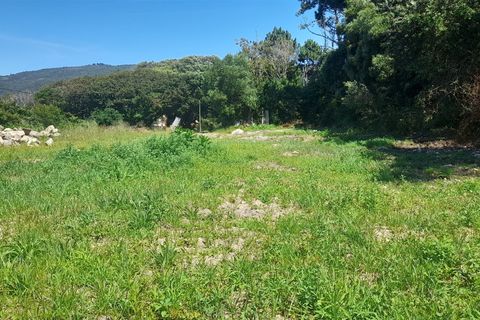 Helårsgrund i Caminha, Viana do Castelo, Caminha - € 375.000 | Ref: L-08/6835 - foto 12