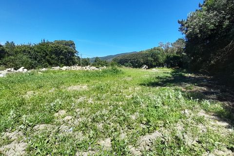 Helårsgrund i Caminha, Viana do Castelo, Caminha - € 375.000 | Ref: L-08/6835 - foto 13