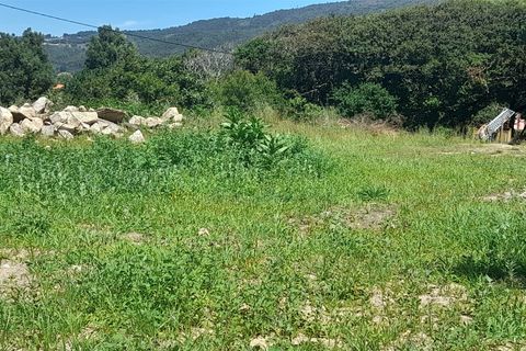 Helårsgrund i Caminha, Viana do Castelo, Caminha - € 375.000 | Ref: L-08/6835 - foto 14