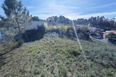 Helårsgrund i Caminha, Viana do Castelo, Caminha - € 200.000 | Ref: L-08/6870 - foto 10