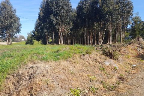 Helårsgrund i Caminha, Viana do Castelo, Caminha - € 130.000 | Ref: L-08/6874 - foto 4