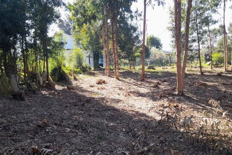 Helårsgrund i Caminha, Viana do Castelo, Caminha - € 130.000 | Ref: L-08/6874 - foto 9