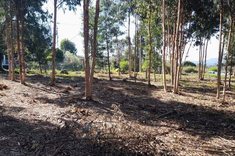 Helårsgrund i Caminha, Viana do Castelo, Caminha - € 130.000 | Ref: L-08/6874 - foto 10
