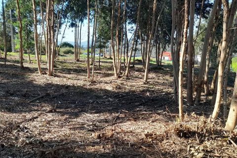 Helårsgrund i Caminha, Viana do Castelo, Caminha - € 130.000 | Ref: L-08/6874 - foto 11