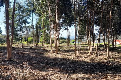 Helårsgrund i Caminha, Viana do Castelo, Caminha - € 130.000 | Ref: L-08/6874 - foto 13