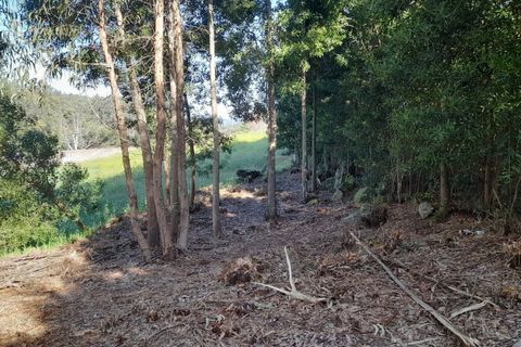 Helårsgrund i Caminha, Viana do Castelo, Caminha - € 130.000 | Ref: L-08/6874 - foto 14