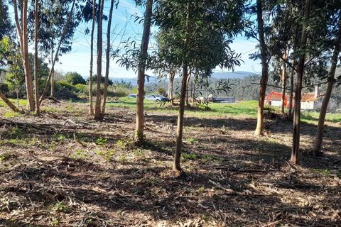 Helårsgrund i Caminha, Viana do Castelo, Caminha - € 130.000 | Ref: L-08/6874 - foto 15