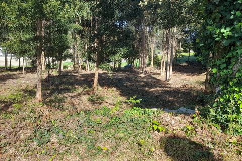 Helårsgrund i Caminha, Viana do Castelo, Caminha - € 130.000 | Ref: L-08/6874 - foto 16